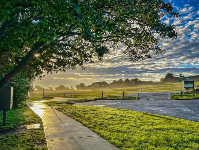Early morning pathway to Robert Dunn Reserve, Warriewood
