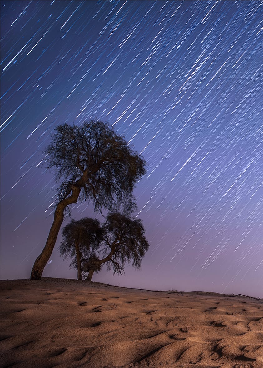 Emirate Desert white sands, United Arab Emirates