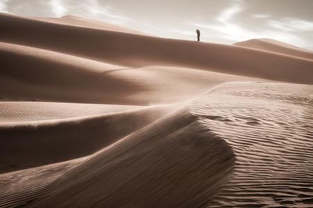 Emirate Desert white sands
