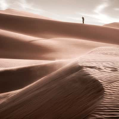 Emirate Desert white sands, United Arab Emirates