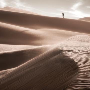 Emirate Desert white sands, United Arab Emirates