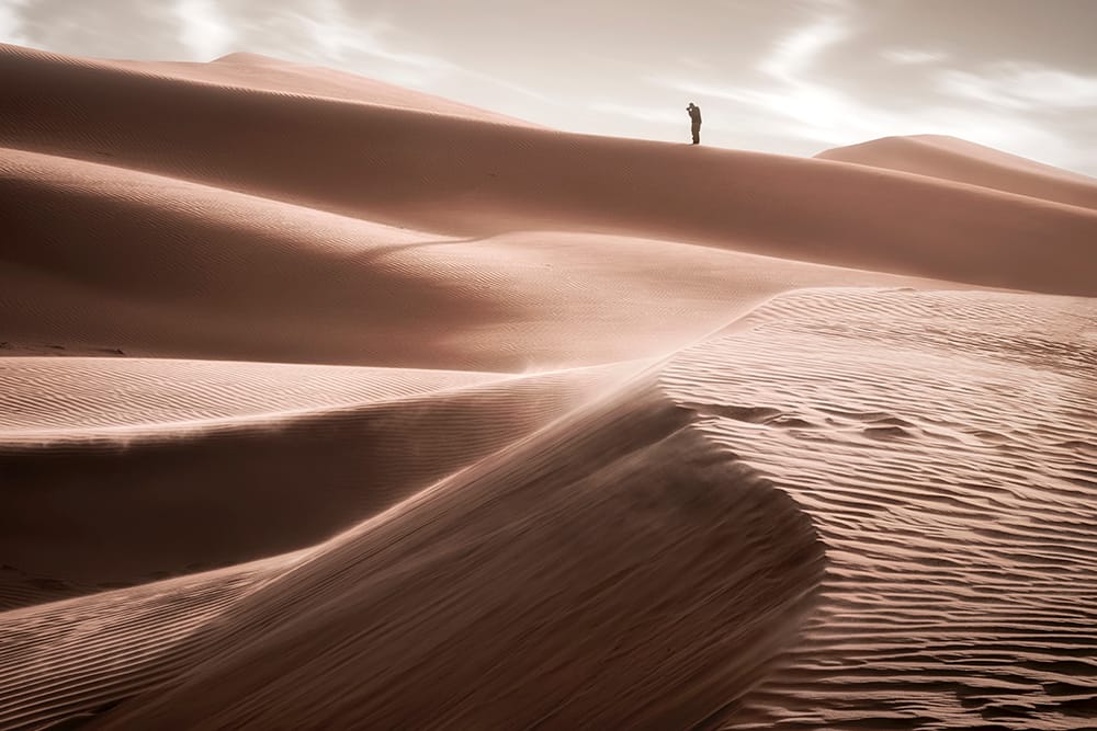 Emirate Desert white sands, United Arab Emirates