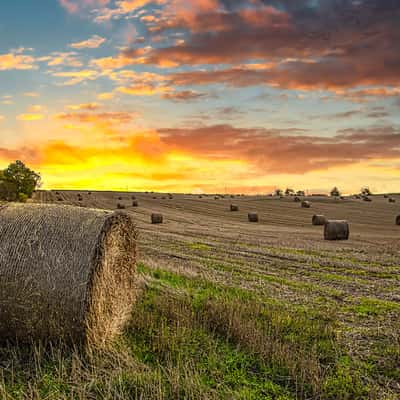 Field, United Kingdom