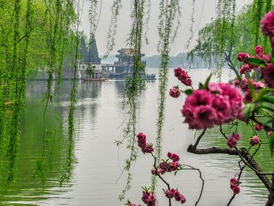 Flowers and lake, The summer Palace, Beijing