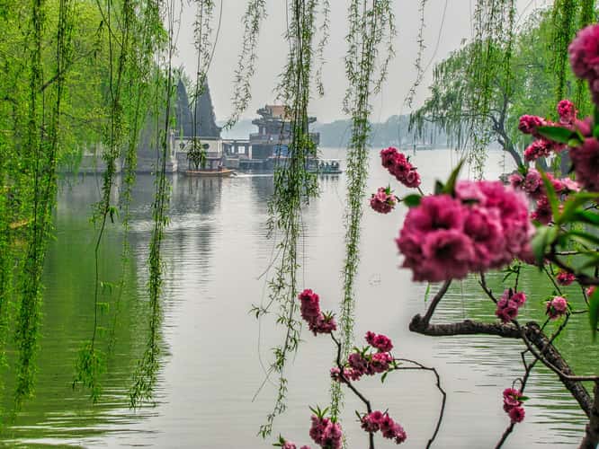 Flowers and lake, The summer Palace, Beijing