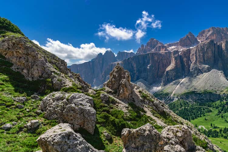 Forcella del CIR