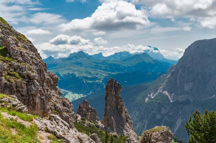 Forcella del CIR