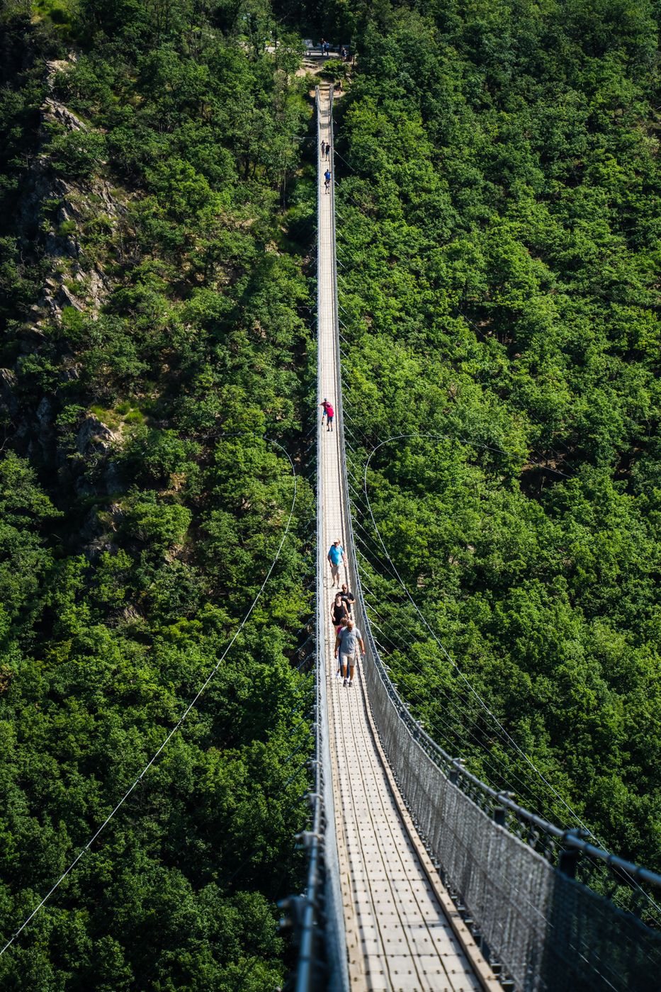 Geierlay Bridge, Germany