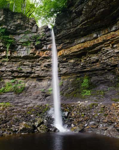 Hardraw Force