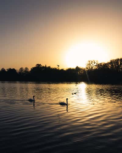 Lake Maschsee, Hanover