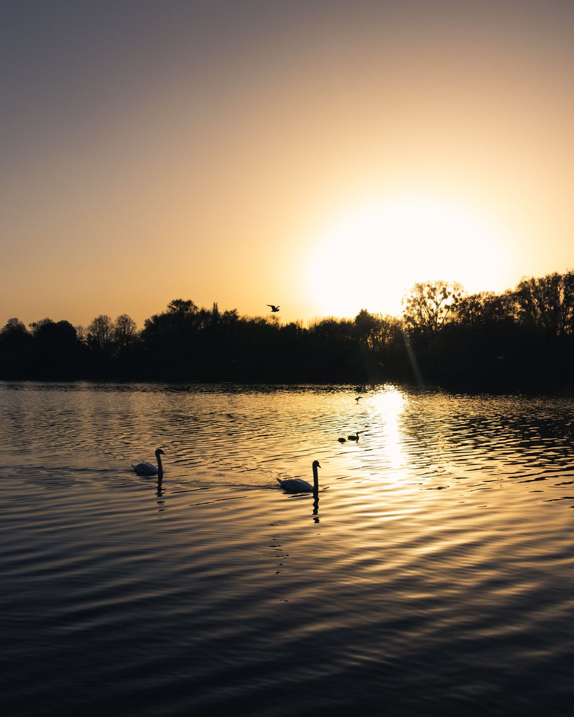 Lake Maschsee, Hanover, Germany