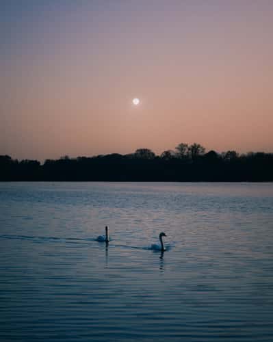 Lake Maschsee, Hanover