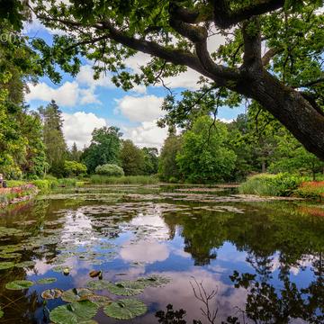 Longstock Water Garden, United Kingdom