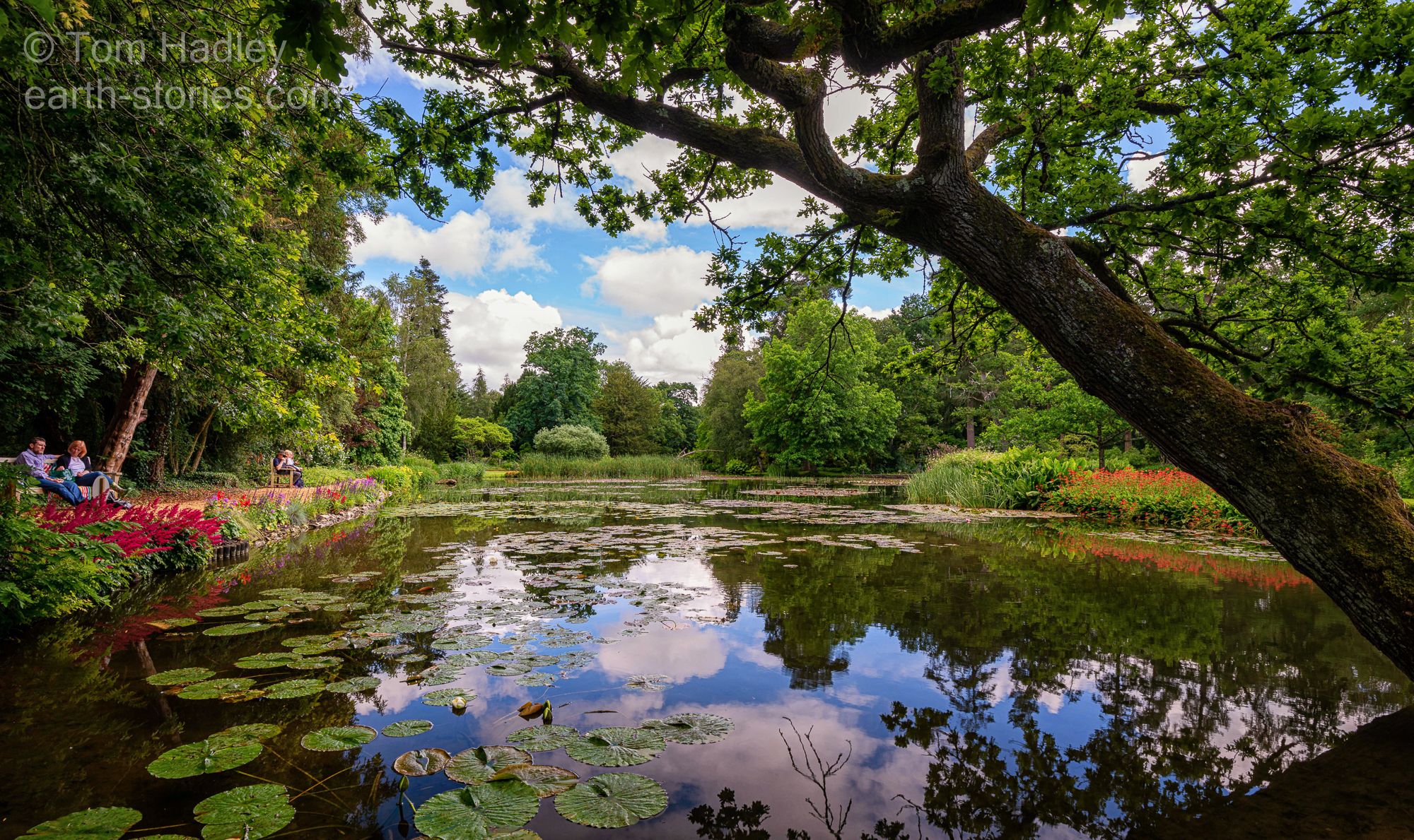 Longstock Water Garden, United Kingdom