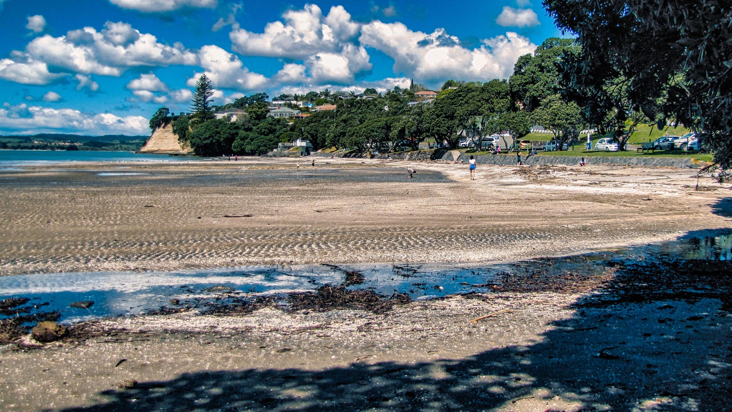 Low Tide, Waipaparoa / Howick Beach, Auckland, New Zealand