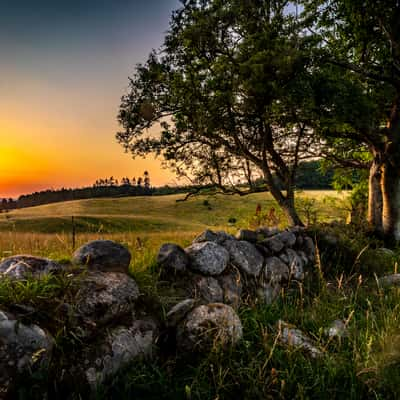 Mandemarke Bakker, Denmark