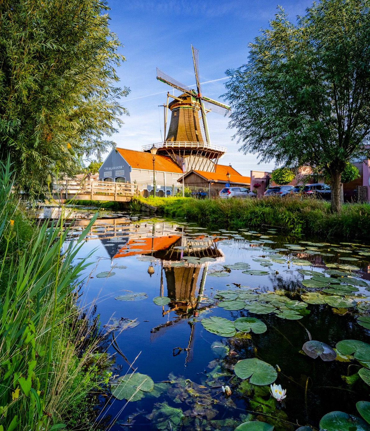 Mill De Salamander with pond and bridge view, Leidenschendam, Netherlands