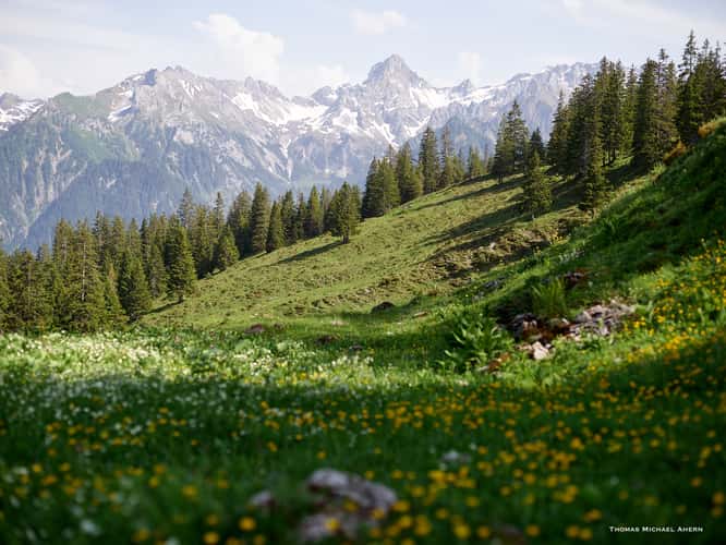 Mondsptize Trail