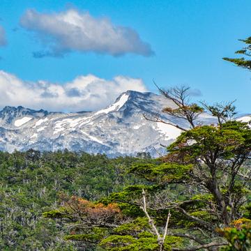 Mountain Tierra del Fuego National Park, Ushuaia, Argentina