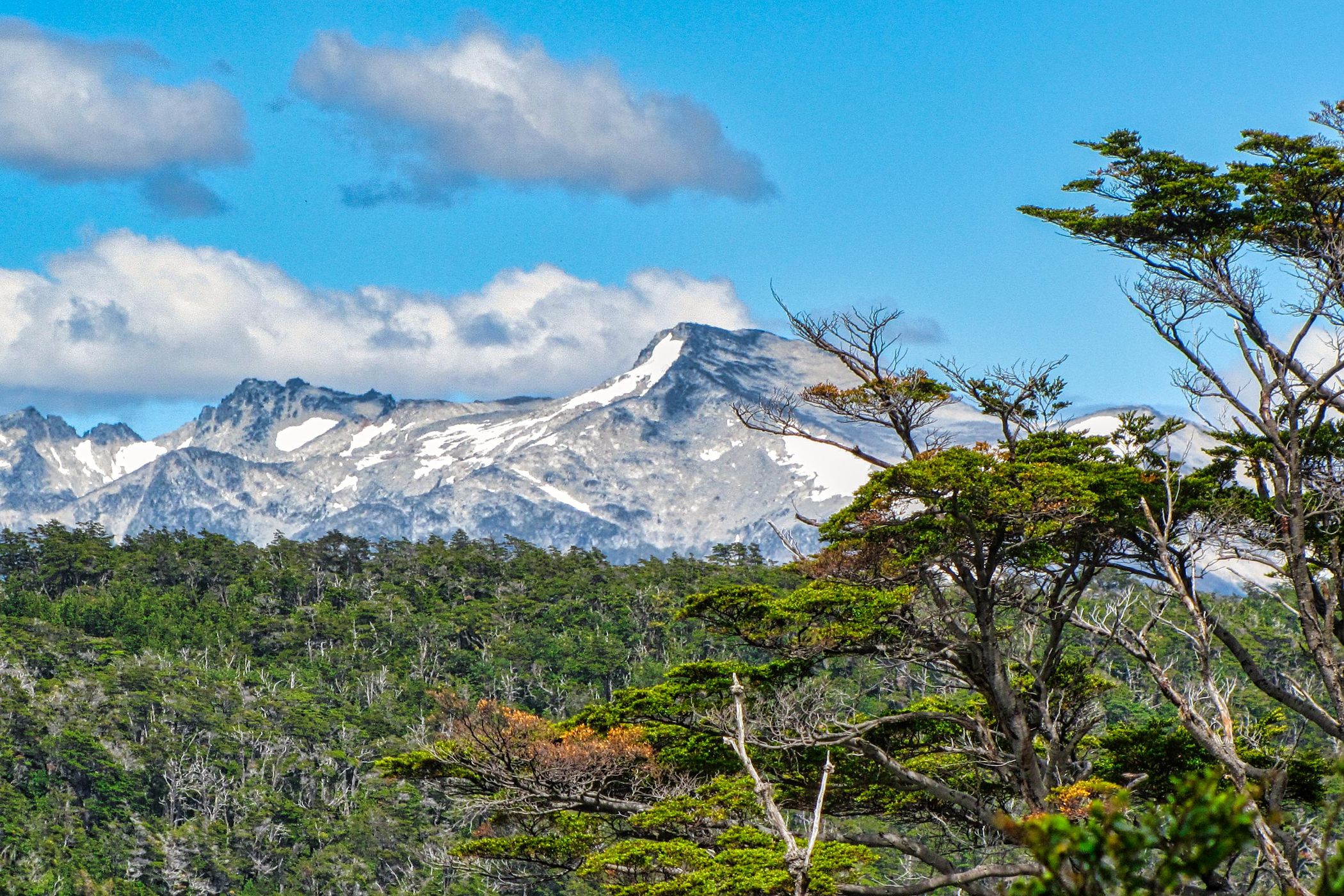 Mountain Tierra del Fuego National Park, Ushuaia, Argentina