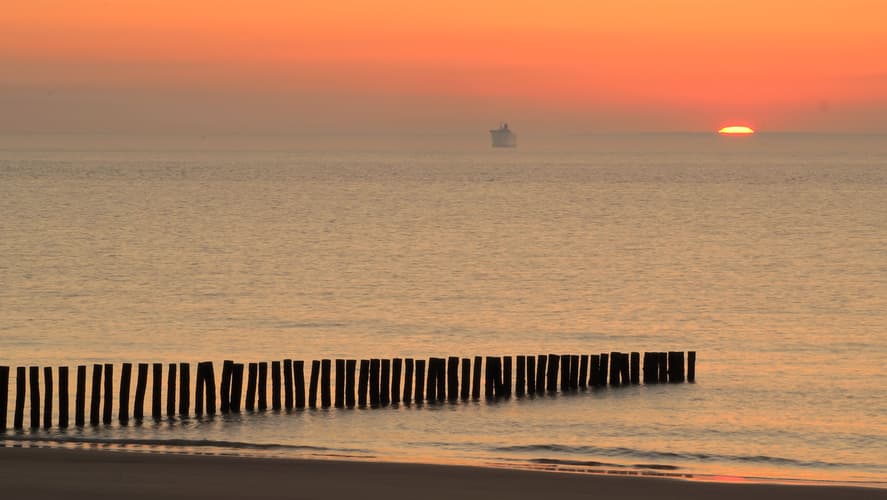 Mussel poles at Blériot-Plage