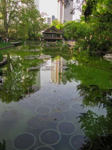 Reflection Jing'an Park, Shanghai China