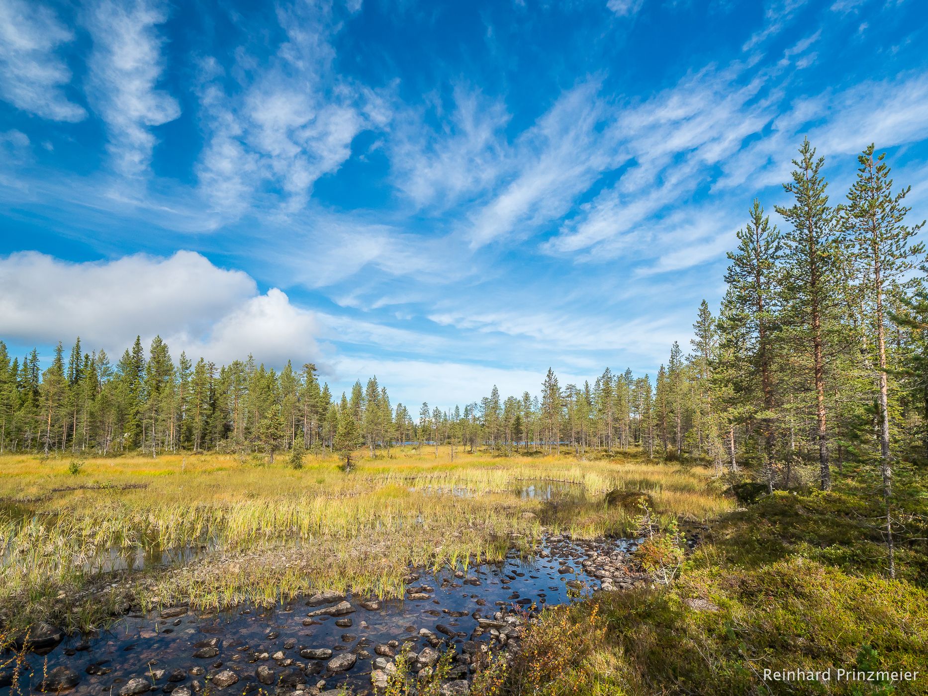 Reivo Nature Reserve, Sweden