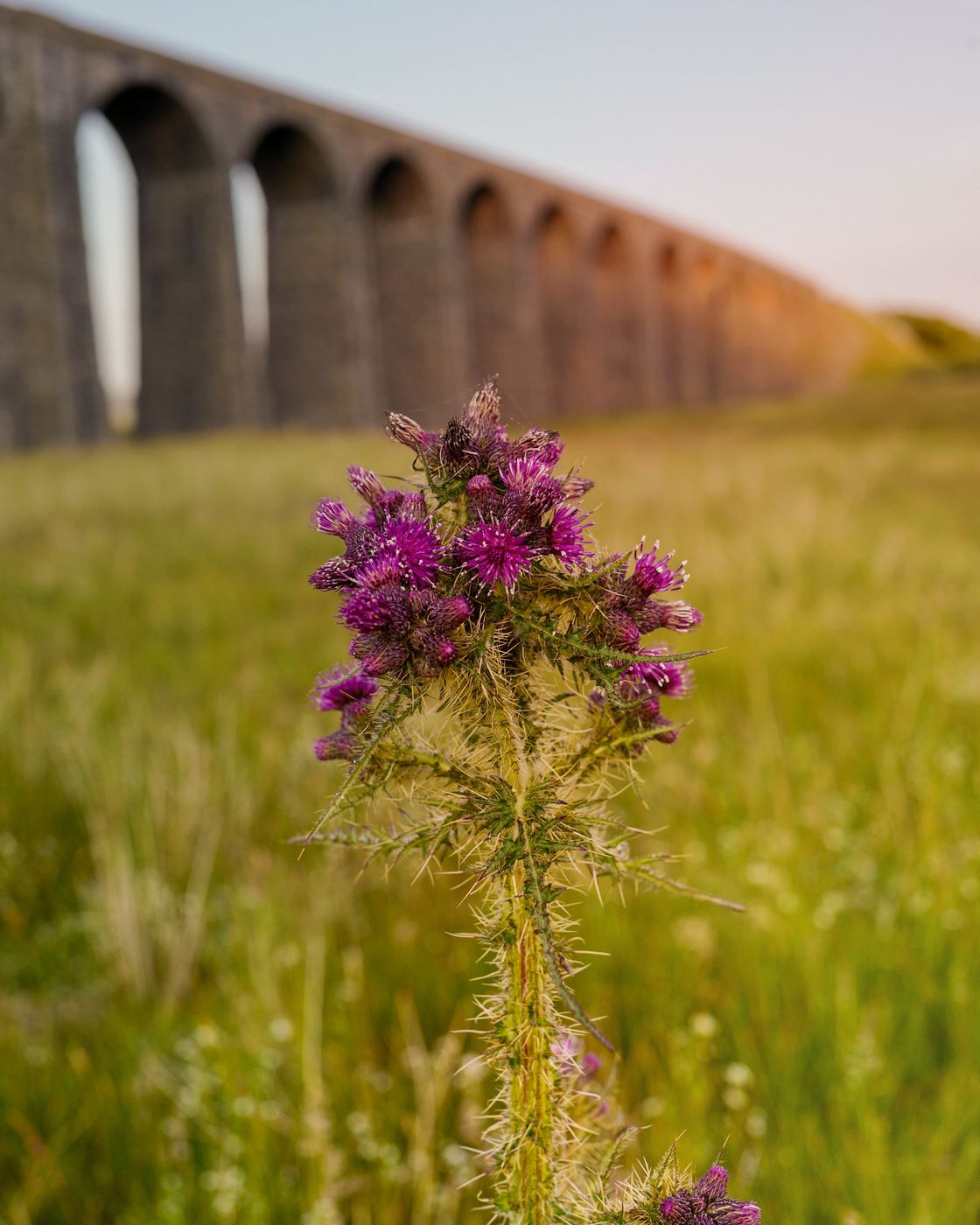 Ribblehead Viaduct, United Kingdom