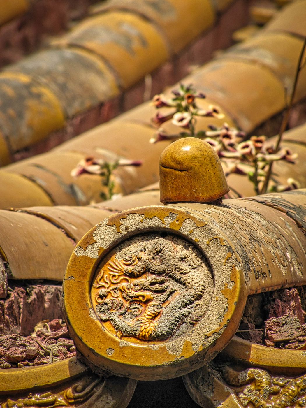 Roof tiles, Forbidden City, Tiananmen, Beijing, China