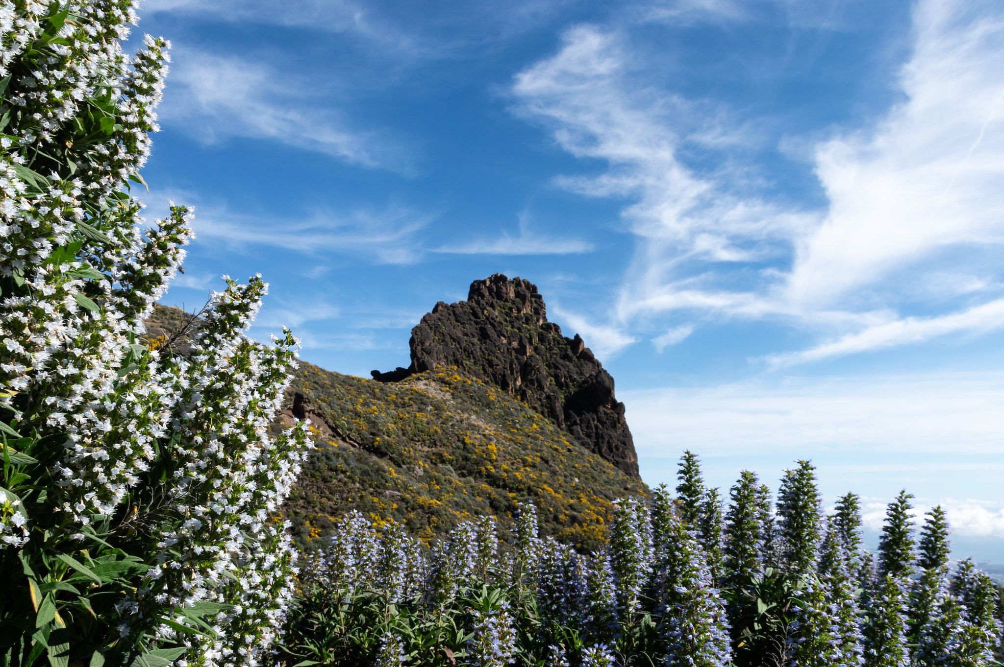 Roque Tenteniguada, Spain