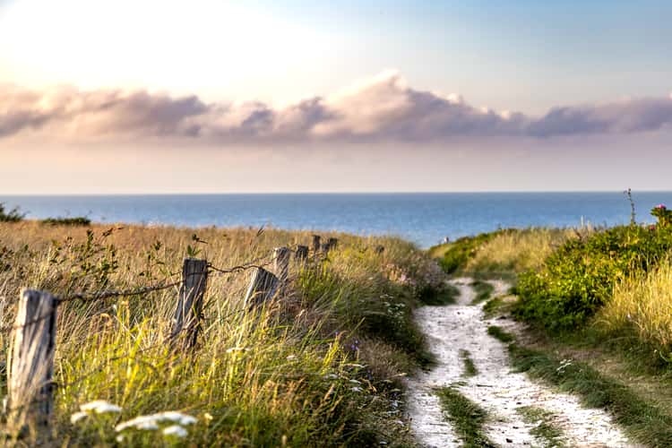 Beach, Kampen