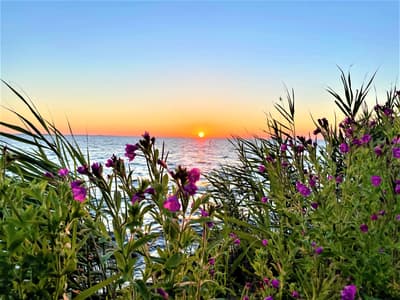 Sunset point