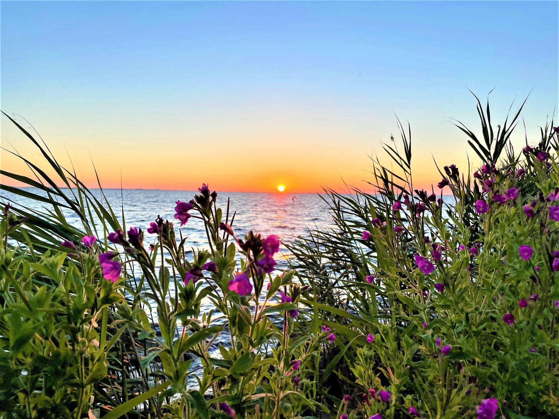 Sunset point, Netherlands