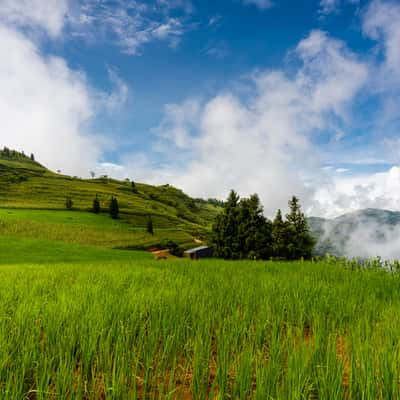 Suoi Thau highland, Vietnam