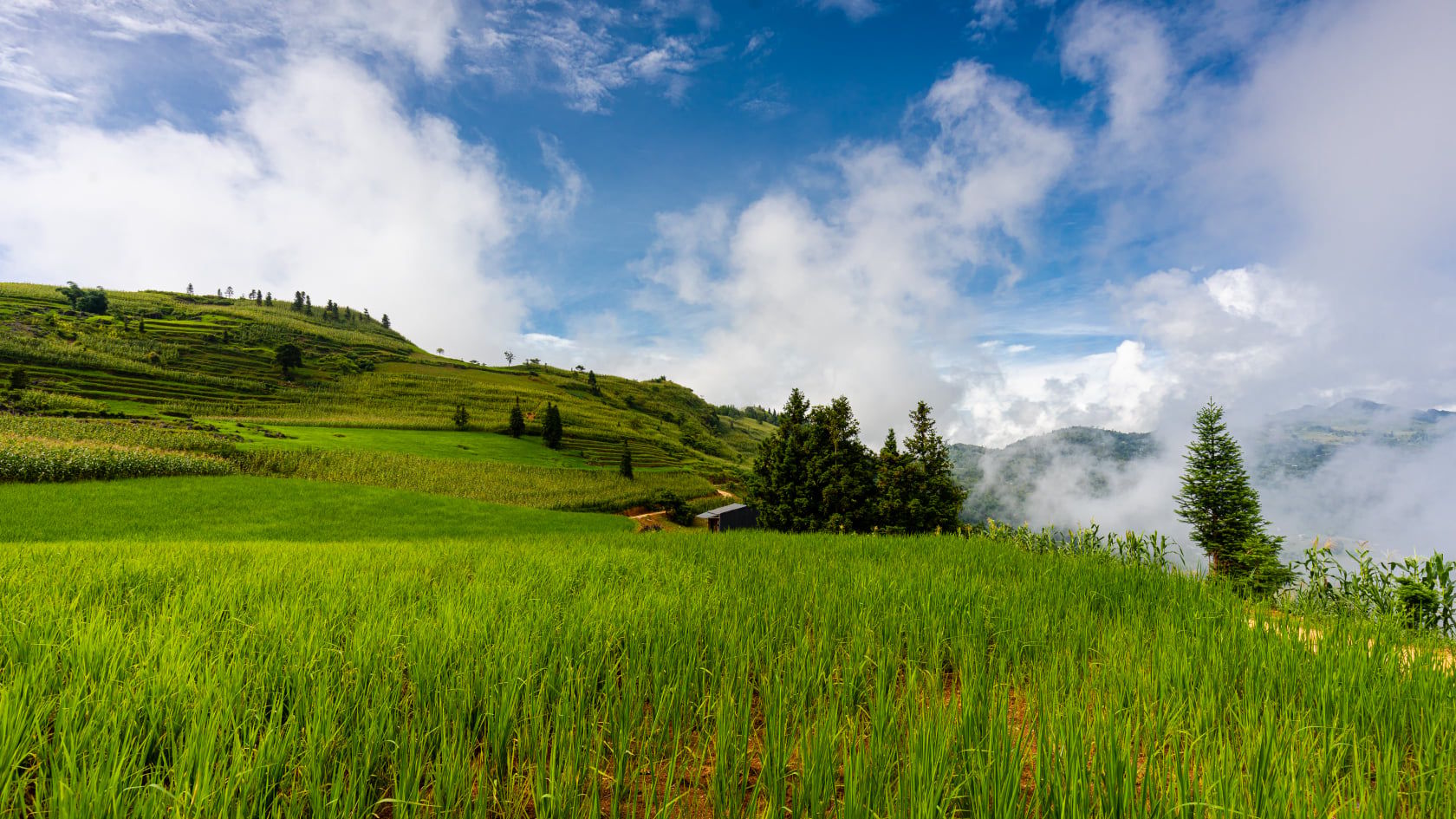 Suoi Thau highland, Vietnam
