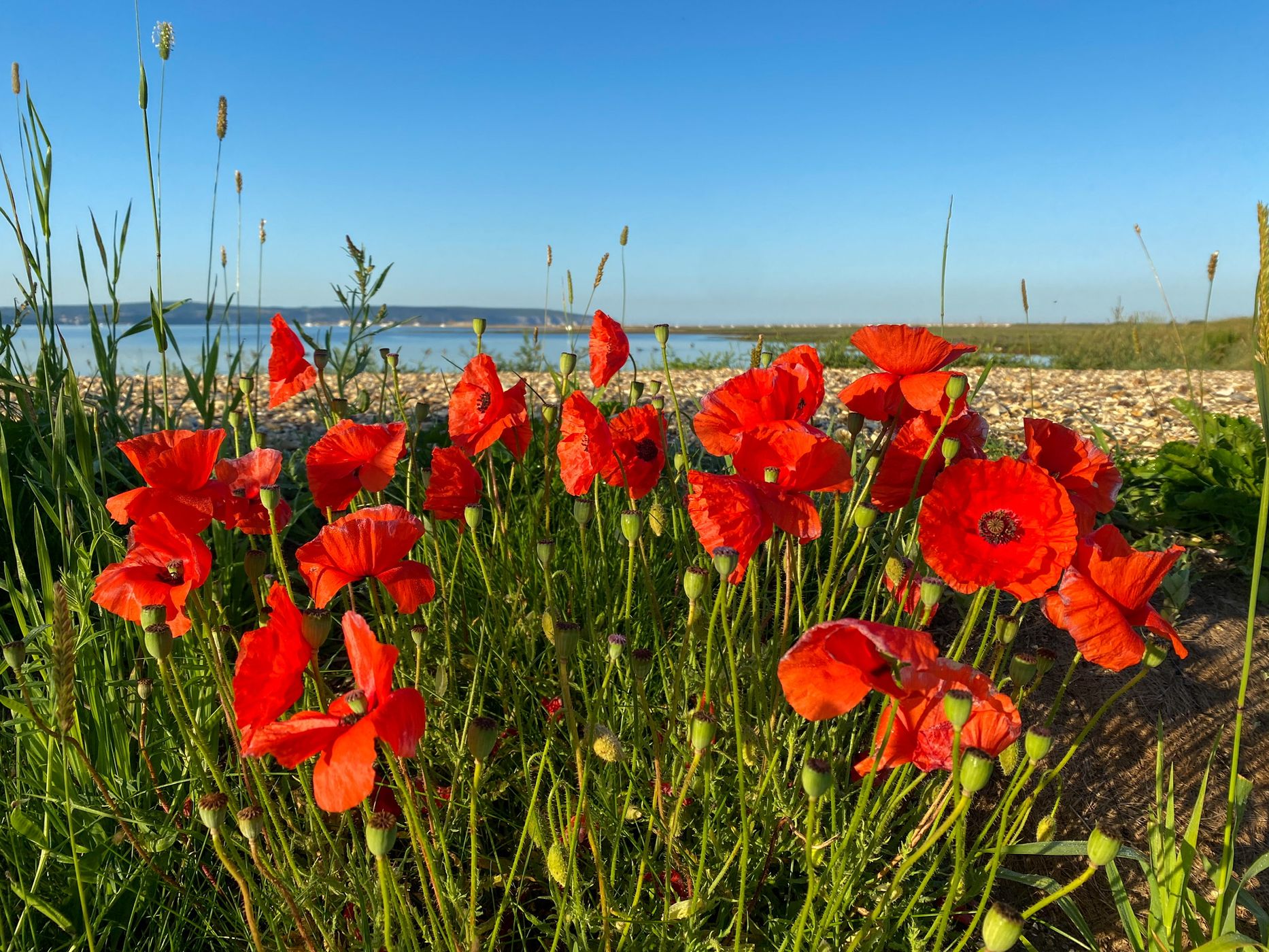 The Solent Way, United Kingdom