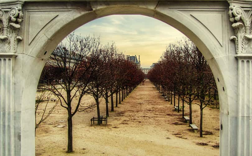 Tree lined, Ecole du Louvre Palace, Paris