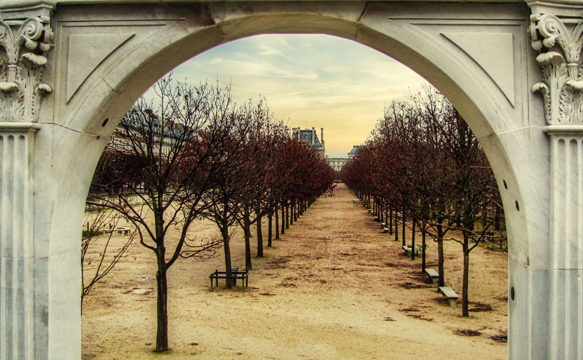 Tree lined, Ecole du Louvre Palace, Paris, France