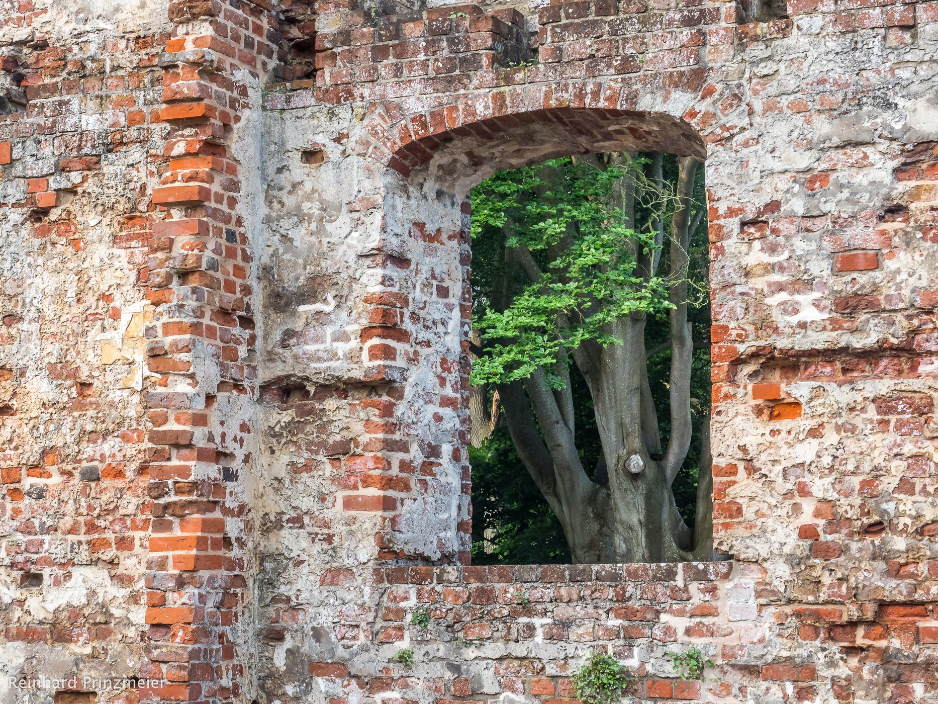 Trøjborgruin Castle Ruin, Denmark