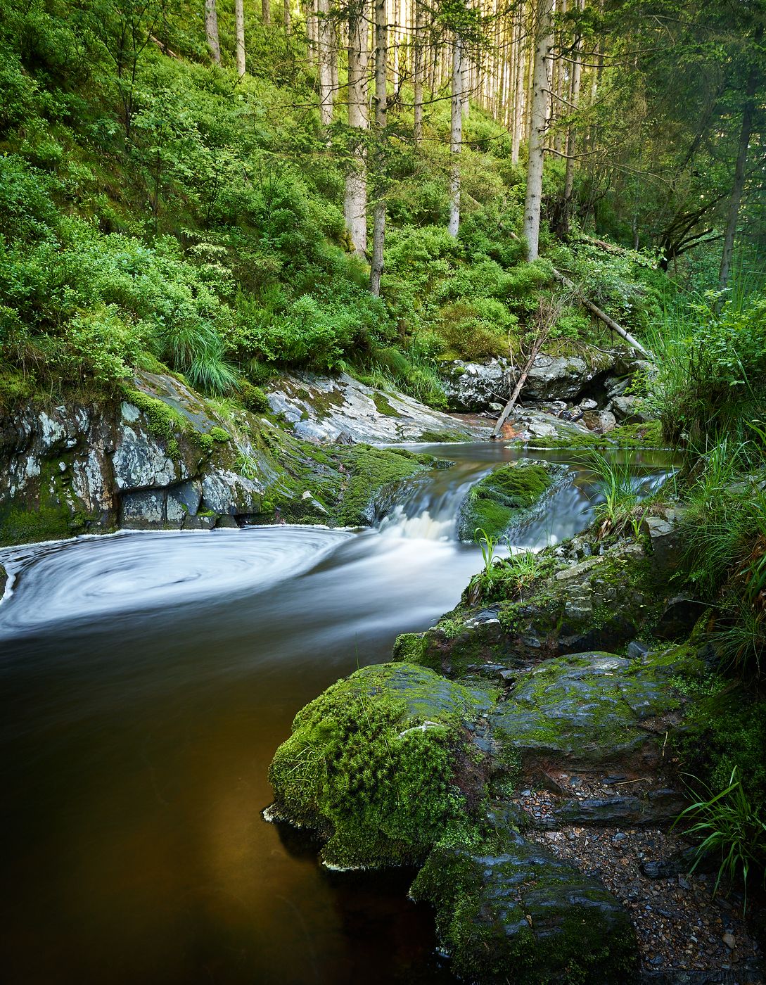 Tros Marets, Belgium