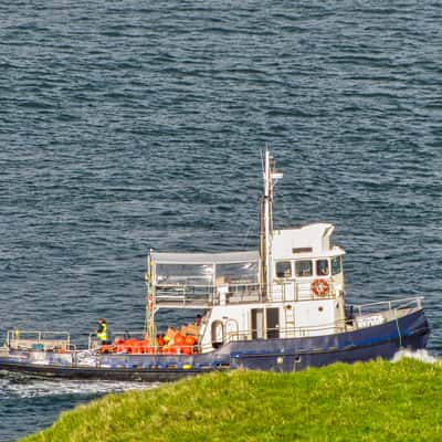 Tug Boat, Mount Maunganui, North Island, New Zealand