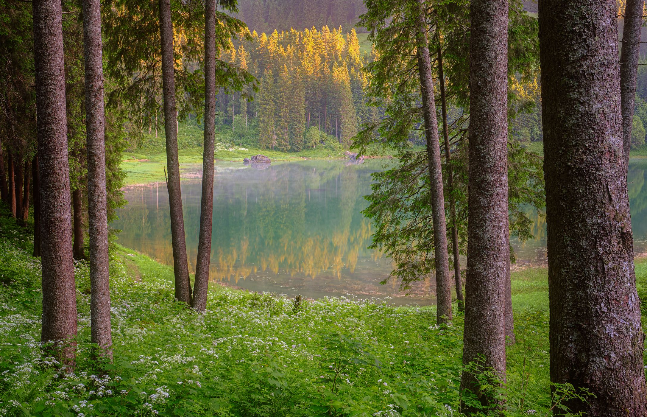 Voralpsee, Switzerland