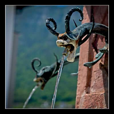 water dragon of Caldaro, Italy