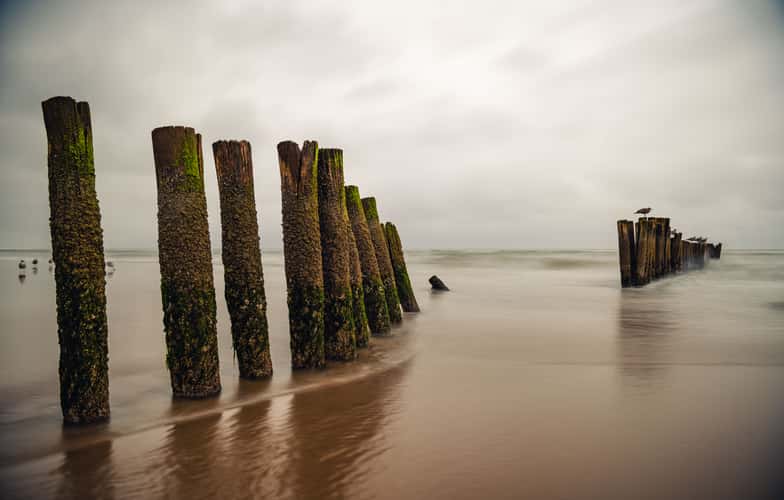 Beach poles
