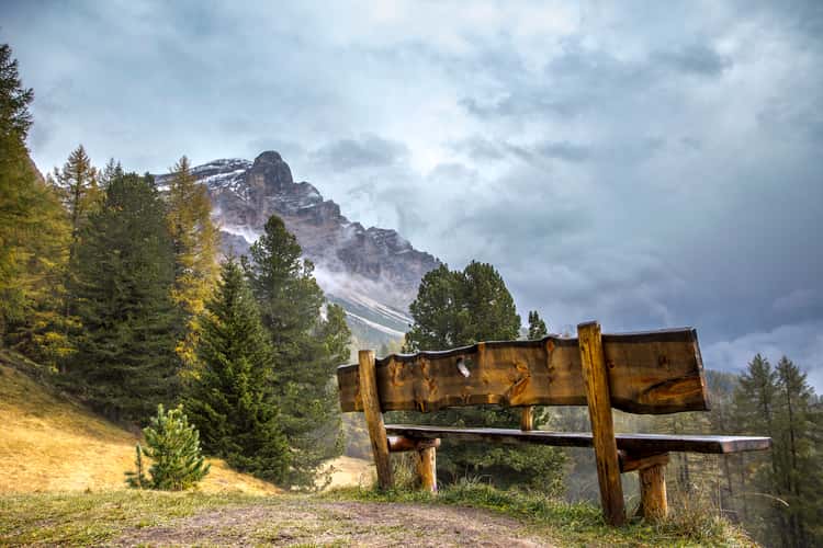 Bench after the rain