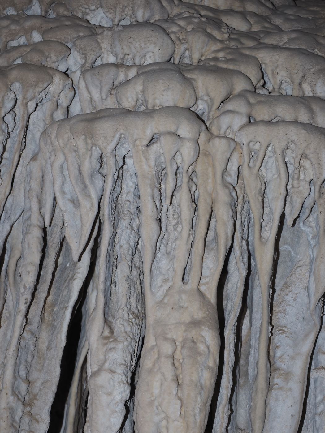 Boyden Cavern, USA