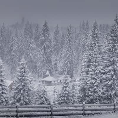 Bucin Lodge, Romania