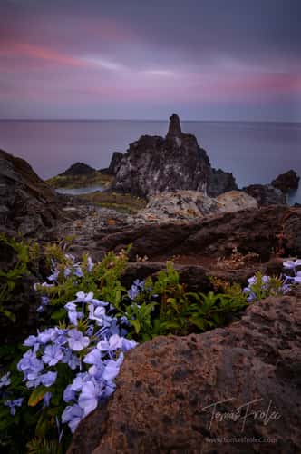 Cliffs by Promenade do Lido