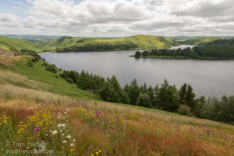 Clywedog Reservoir Viewpoint