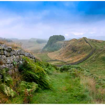 Hadrian's wall at Housteads, United Kingdom